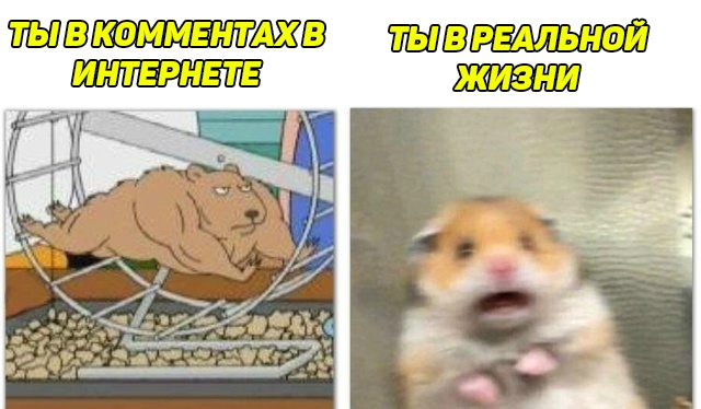 Испуганный хомяк