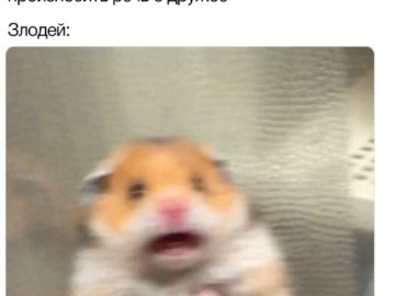 Испуганный хомяк
