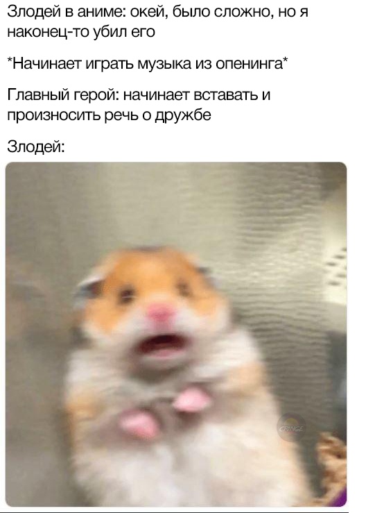 Испуганный хомяк