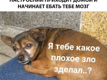 Я тебе какое плохое зло сделал?