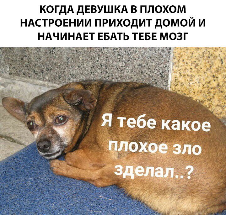 Я тебе какое плохое зло сделал?