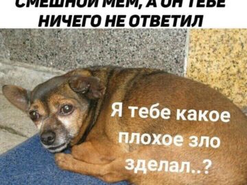Я тебе какое плохое зло сделал?