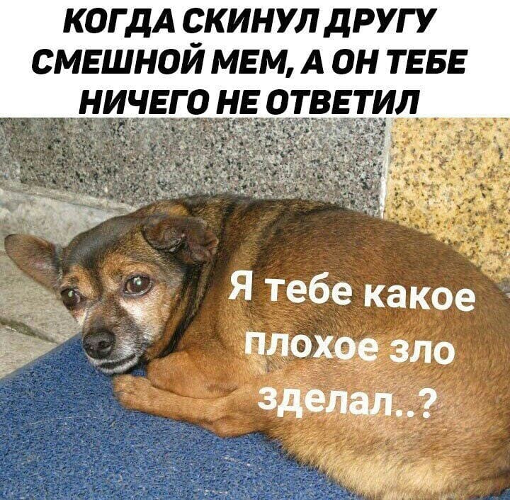 Я тебе какое плохое зло сделал?
