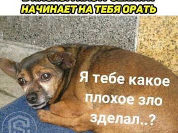 Я тебе какое плохое зло сделал?