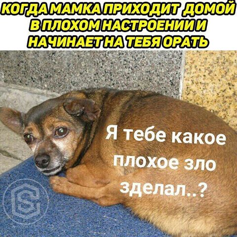 Я тебе какое плохое зло сделал?