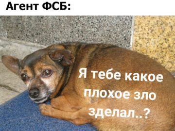 Я тебе какое плохое зло сделал?