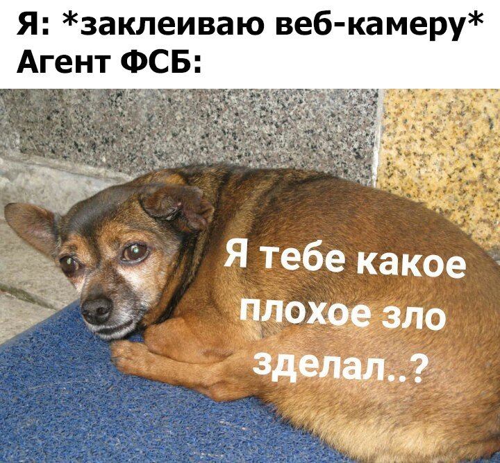 Я тебе какое плохое зло сделал?