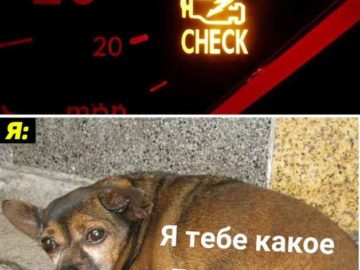 Я тебе какое плохое зло сделал?