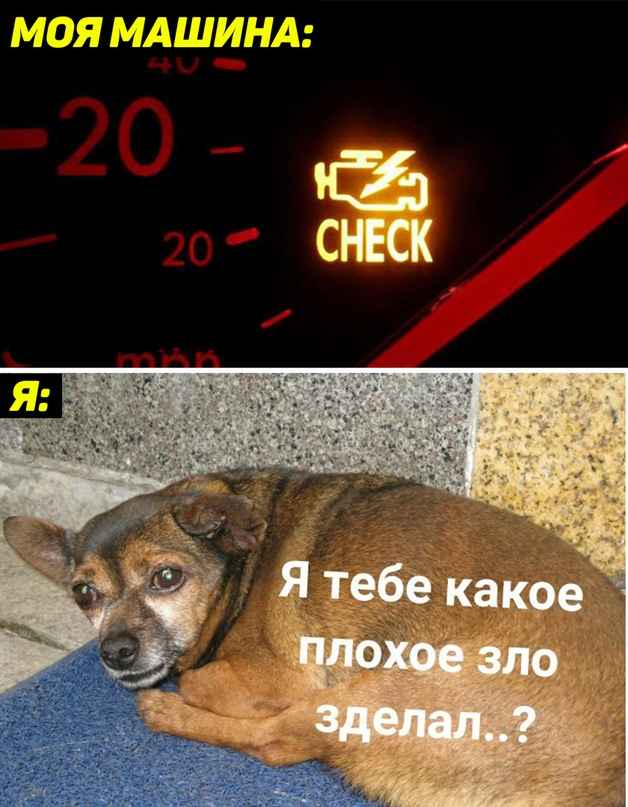 Я тебе какое плохое зло сделал?