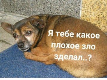 Я тебе какое плохое зло сделал?