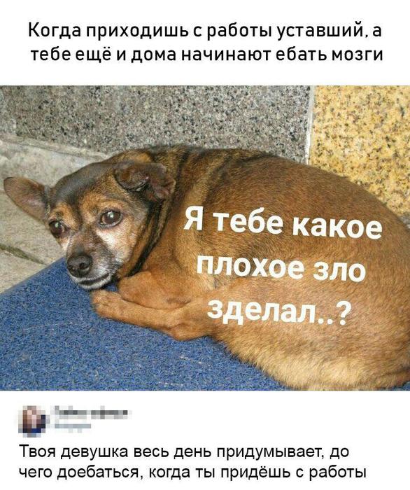 Я тебе какое плохое зло сделал?