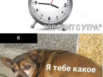 Я тебе какое плохое зло сделал?