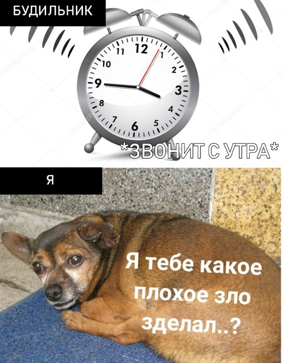 Я тебе какое плохое зло сделал?