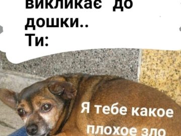 Я тебе какое плохое зло сделал?