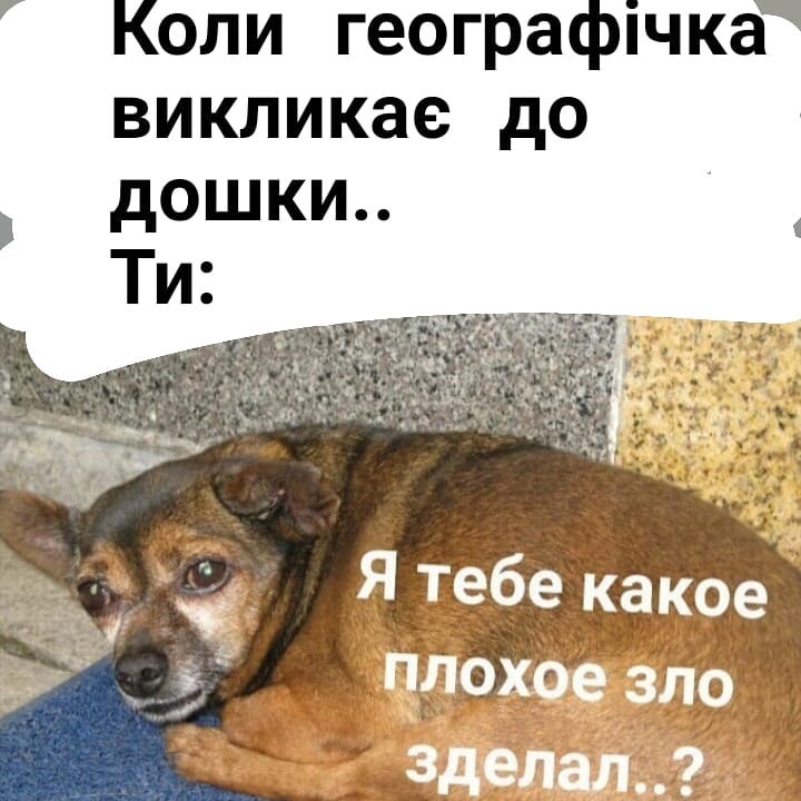 Я тебе какое плохое зло сделал?