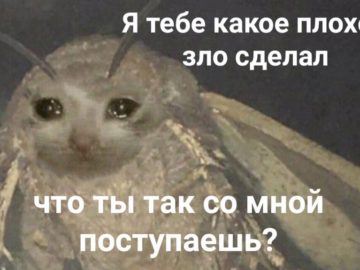 Я тебе какое плохое зло сделал?