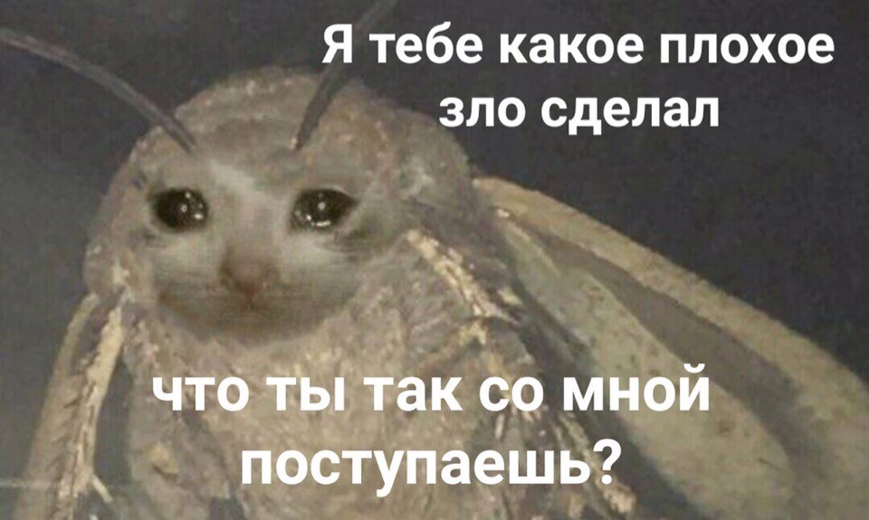 Я тебе какое плохое зло сделал?