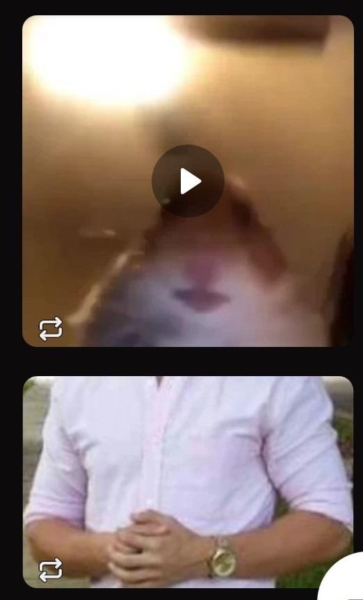 Хомяк следит