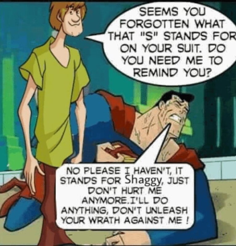 Shaggy's power meme