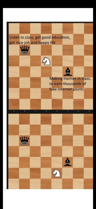 Chess memes