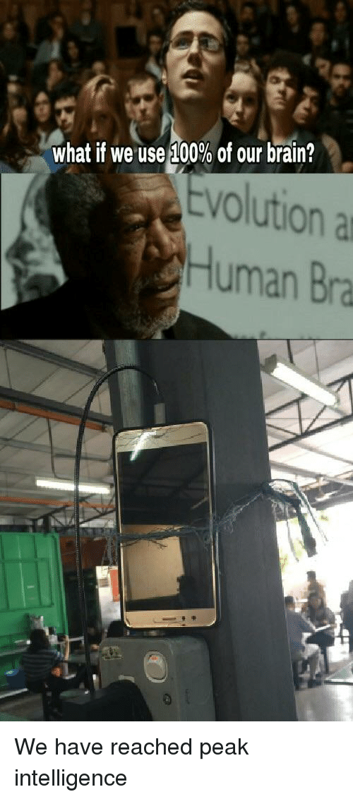 What if We Used 100% of the Brain