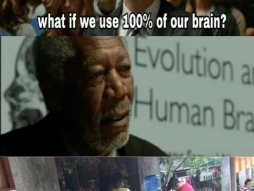 What if We Used 100% of the Brain