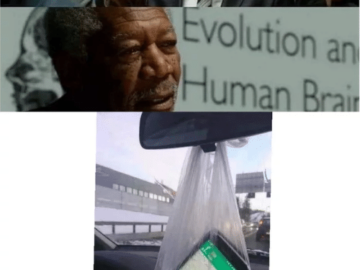 What if We Used 100% of the Brain