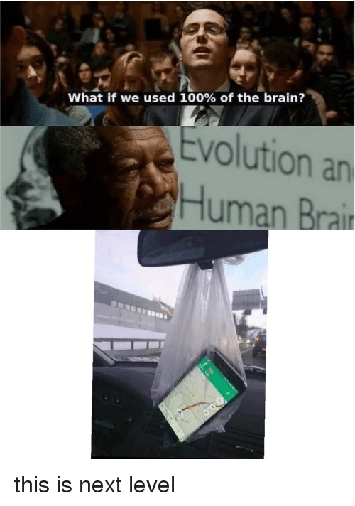 What if We Used 100% of the Brain
