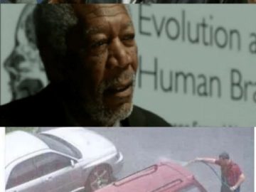 What if We Used 100% of the Brain