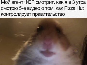 Мем с хомяком