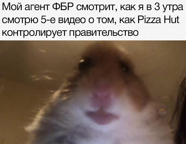 Мем с хомяком