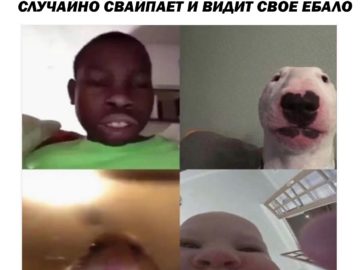 Мем с хомяком