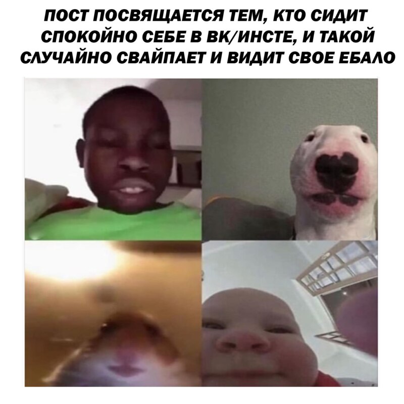 Мем с хомяком