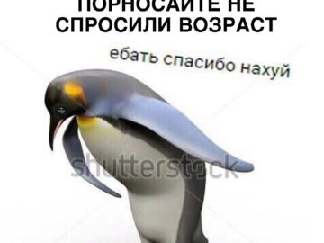 Ебать спасибо нахуй