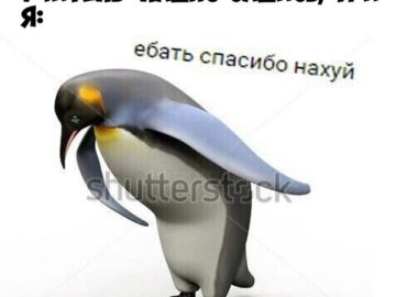 Ебать спасибо нахуй