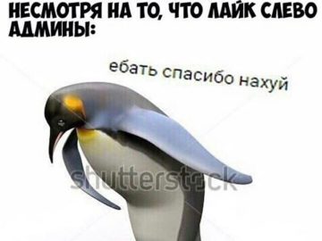 Ебать спасибо нахуй