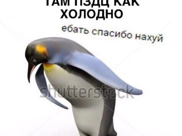Ебать спасибо нахуй