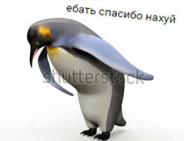 ебать спасибо нахуй ебать спасибо нахуй