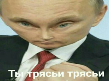 Ты тряси тряси смартфон мем