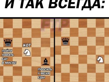 Шахматные мемы