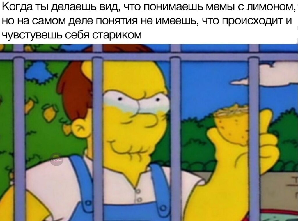 Мем с лимоном