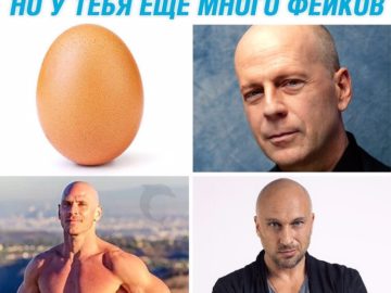 Мемы с яйцом