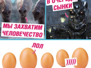 Мемы с яйцом