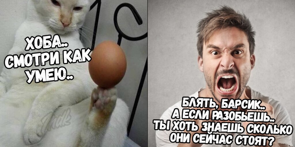 Мемы с яйцом