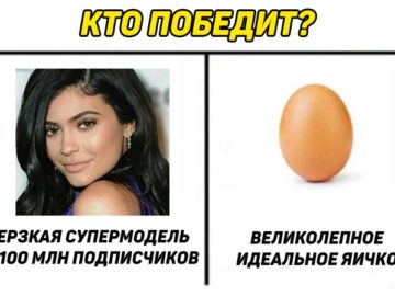 Мемы с яйцом
