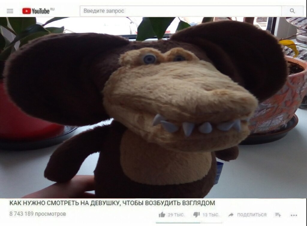 Мохнатый писькогрыз