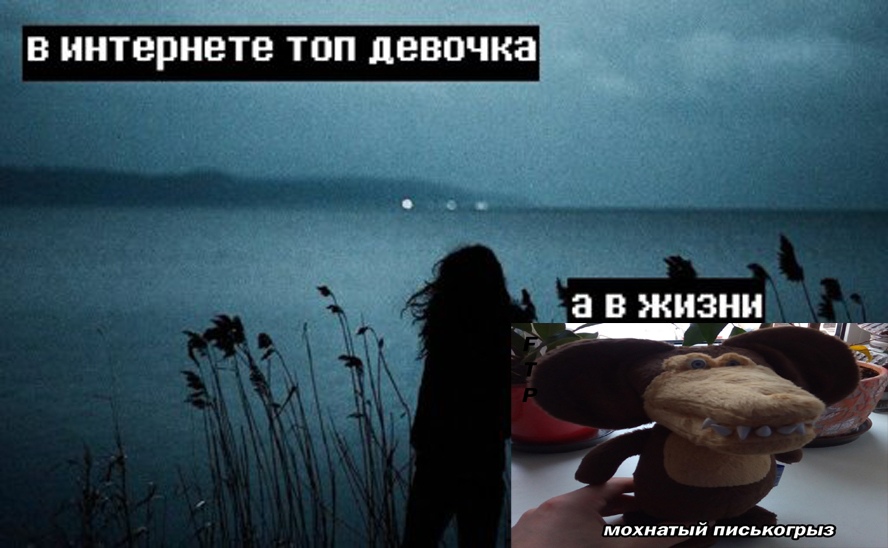 Мохнатый писькогрыз
