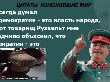 Мохнатый писькогрыз