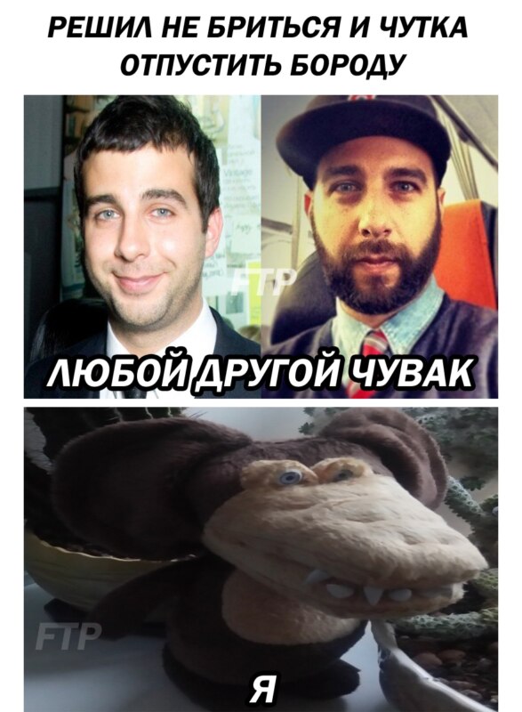 Мохнатый писькогрыз