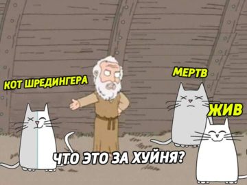 Слон и пингвин из "Гриффинов"